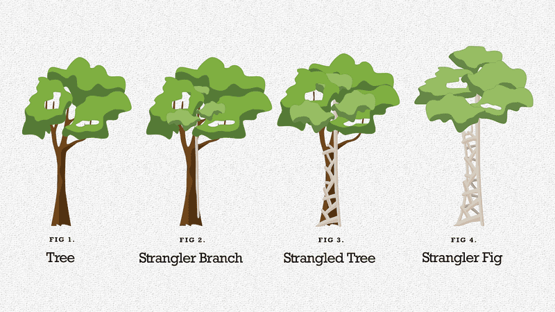 What is the Strangler Fig Pattern? | by Denny Lesmana | Medium
