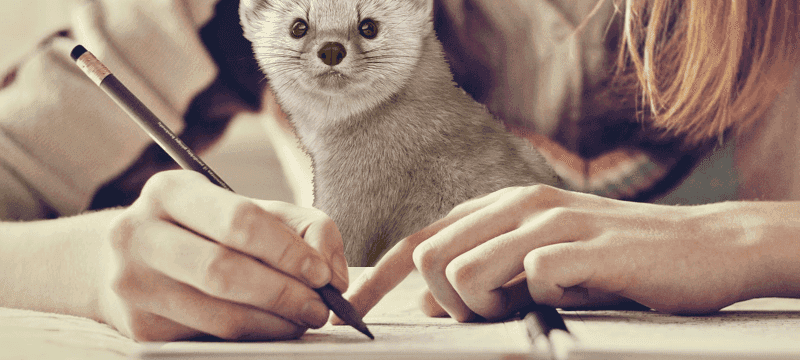 A few notes on running open source project after Marten v6 release