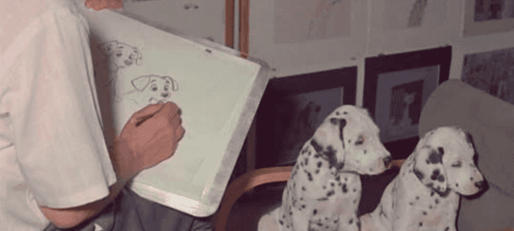 Pongo behind the scenes