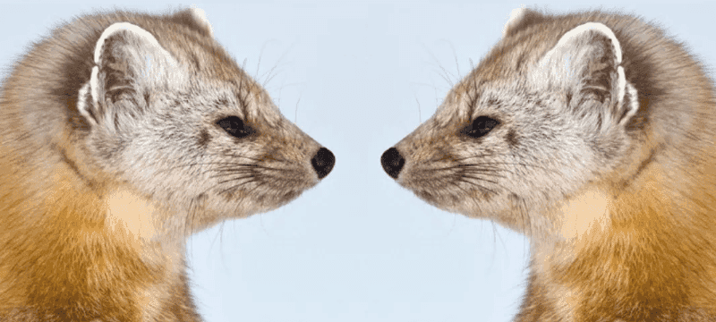 Ensuring uniqueness in Marten event store